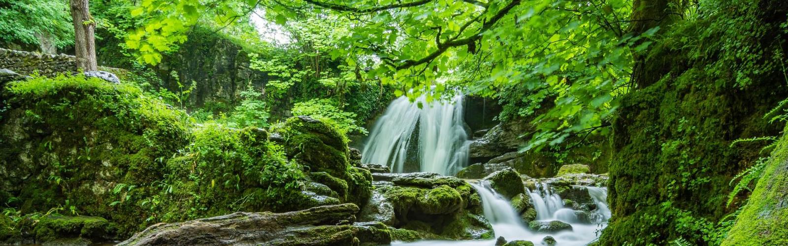 Small waterfall embraced by greenery and moss