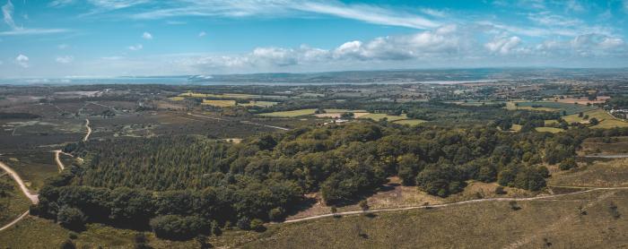 An aerial photo of the Pebblebed Heaths with the Exe Estuary in the background