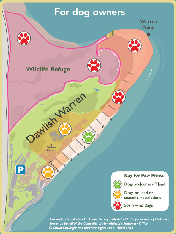 An illustrated map of Dawlish Warren showing which areas dogs are allowed in.