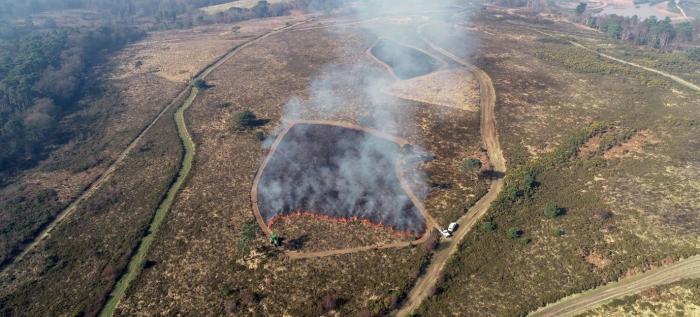 Aerial photo of heathland swailing