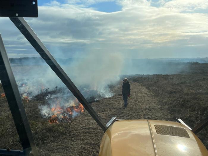 Swailing from the rangers view in a vehicle