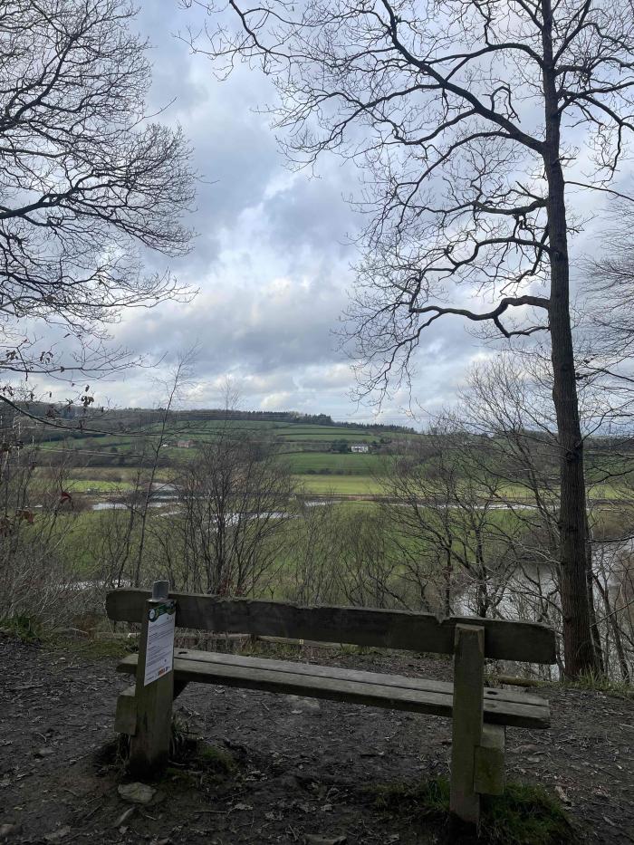 Exe Estuary viewpoint