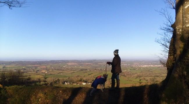 View from White Cross at Fire Beacon Hill towards Ottery St Mary