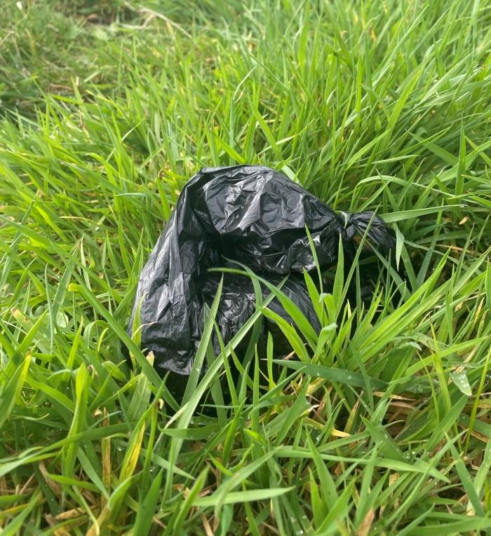 A used dog poo bag left behind in the grass