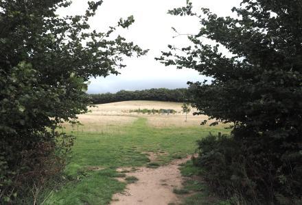 A view of Dawlish Country Park between a gap in the hedgerow