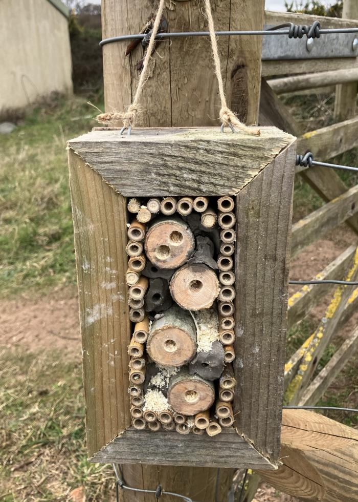 A photo of a bug hotel