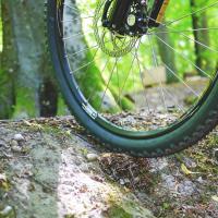 Bike tire traversing rough terrain in a forest