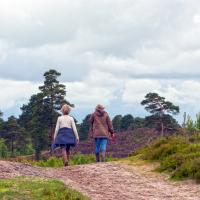 A photograph of some people walking on the heaths