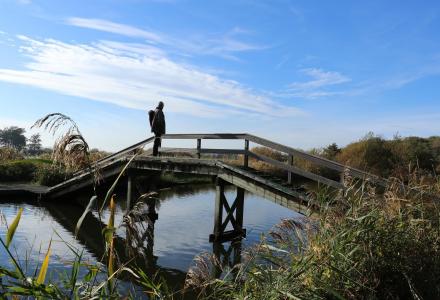 Adult male on a wooden bridge over a river looking out at the scenery