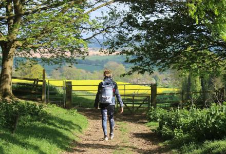 Person walking on a path to a gate to a bright, green field