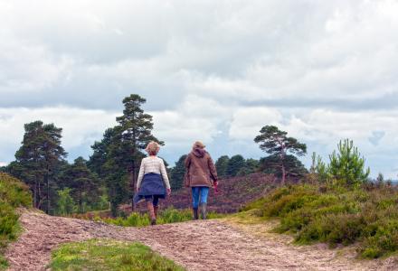 Two people walking through grassland