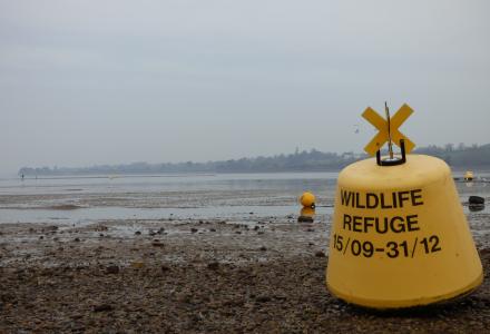 Picture of wildlife refuge buoy on the foreshore