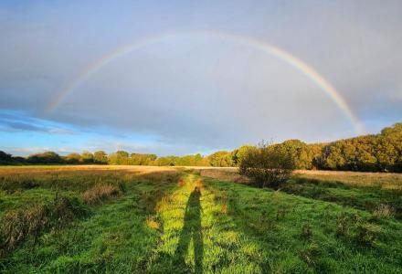 A rainbow over a meadow with a person's shadow